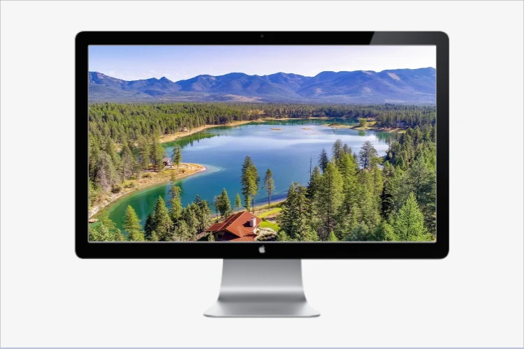 Step 4: Preview & Download